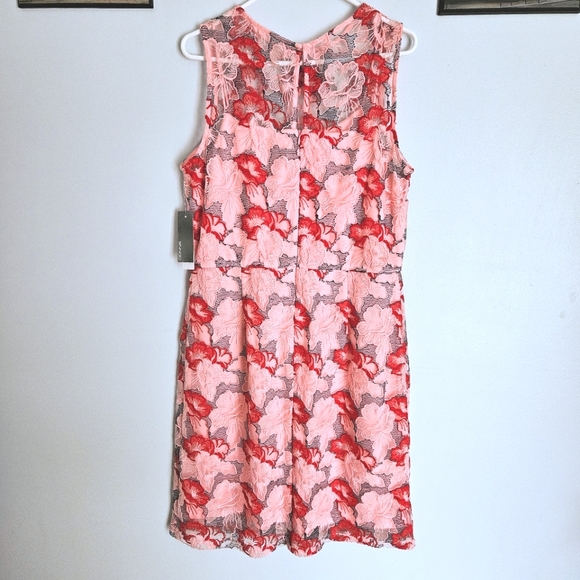 NWT Donna Ricco Strawberries & Cream Pink Sheer Embroidered Fit-and-Flare Dress - Picture 8 of 8